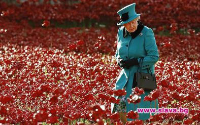 Гард на кралица Елизабет II едва не я застрелял