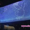 7 плеймейтки доказват, че сексапилът е неподвластен на времето