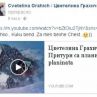Какво ще прави Грахич, след раздялата със Шоуто на Слави?