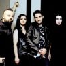 Fallen Arise се присъединяват към Summer Chaos