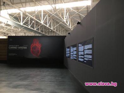 Специален Оскар за Иняриту