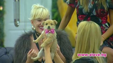 Финалистите се сблъскват с мнението на своите фенове