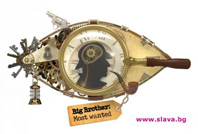 Колко са процентите в Брадъра: 80 или повече?  