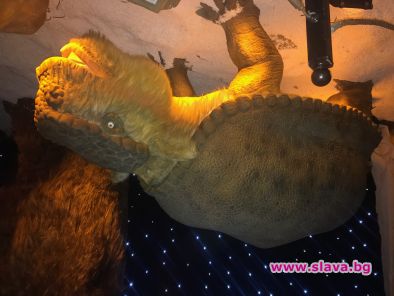 Ледникова епоха завладява София 