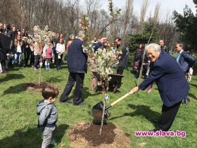 Ханами в Южния парк в София