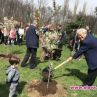 Ханами в Южния парк в София