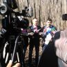 ВМРО: Незаконната сеч в градските паркове да стане криминално деяние