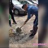 Джино асфалтира дупки