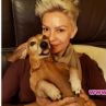 Отровиха дакела на Халваджиян
