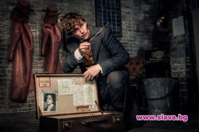 Колко Фантастични животни може да поеме светът на Хари Потър?