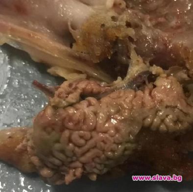Жена откри суров мозък в KFC менюто си
