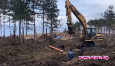 Край на живописната борова гора в Арапя