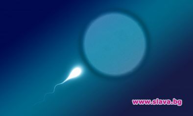 В Гърция се роди дете от трима родители