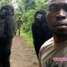 Горили от Конго позират за селфи