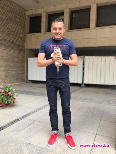 Коте стана дипломат във Външно