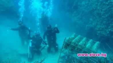 Започна първият Международен салон по подводна фотография