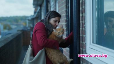 Котка в стената - акцент на Киномания