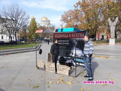 Живот в клетка
