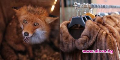 Калифорния забранява продуктите от животински кожи