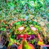 За първи път в България идва най-цветното парти ELROW