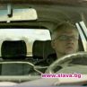  10 нови бг филма на София Филм Фест