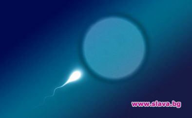 Роди се първото дете от незряла замразена яйцеклетка