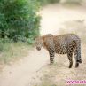 Диви уикенди тръгват по Viasat Nature 