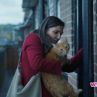Котка в стената тръгва в кината