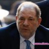 Защитата на Уайнстийн моли за присъда от 5 г. затвор