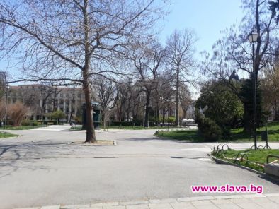Генералски лъжи