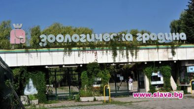 В София отварят зоопарка, библиотеката, художествена галерия и историческия музей