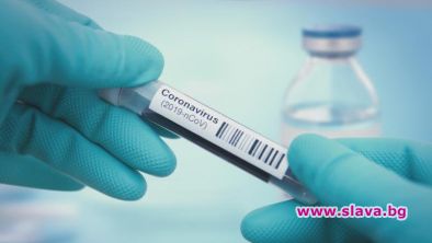 Тестваха успешно ваксина срещу COVID-19 върху маймуни