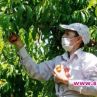 Българите вършат мръсната работа на европейците от османско време: Economist