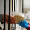 Екипи на СО пазаруват за самотни и болни хора