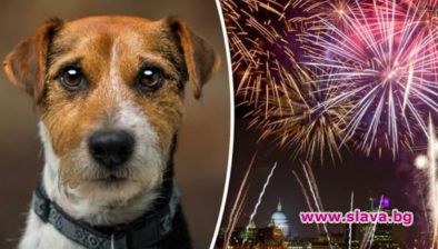 6 причини да посрещнем новата година без пиратки и фойерверки