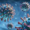К19 ще стане настинка като останалите к-вируси: Science