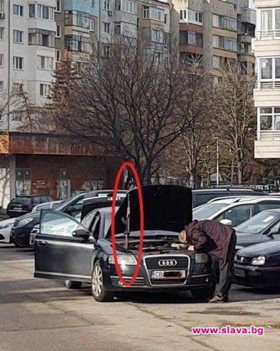 Фото на деня