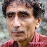 Децата, които се опитват да угаждат на родителите си, винаги ще бъдат самотни:Габор Мате