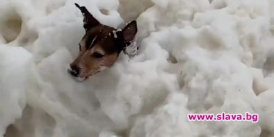 Явление:Гъста пяна покри плаж във Великобритания