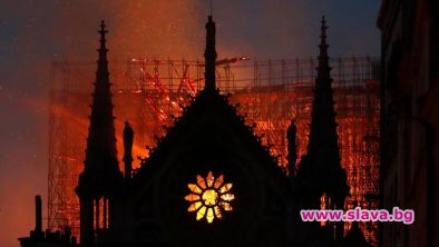 Кулата на Нотр Дам ще бъде възстановена с 200-годишни дъбове от кралската гора