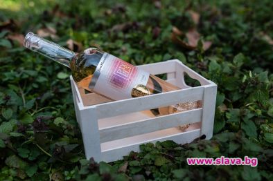 Експертите от New Bloom Winery развенчават най-популярните митове за розето