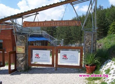 Спасеното мече в Родопите е на 4 месеца, вече е в Парка на танцуващите мечки 