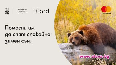 “Завръщането” - но с главен герой Мечката