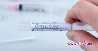 16 от 19 омикрона в Ботсвана са БЕЗСИМПТОМНИ, а 3 са с „много леки” симптоми: Ройтерс