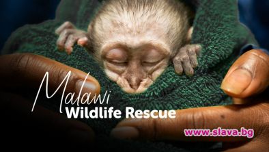 Спасители на диви животни в Малави с тв премиера