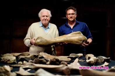 Сър Дейвид Атънбъро ни води в гробището на мамутите 