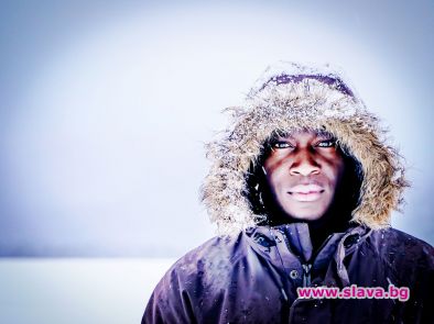 Бъдещето е от животински произход 