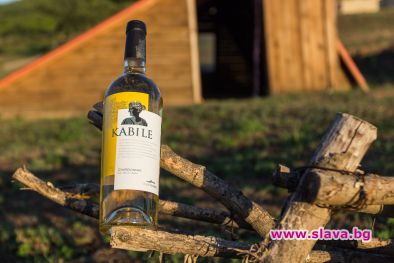 Вината Kabile съживяват легендата за античния тракийски град Кабиле