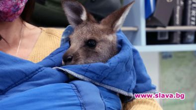 Австралийски спасители на животни тръгва по Viasat Nature 