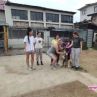 Нова инициатива помага на бездомните животни у нас